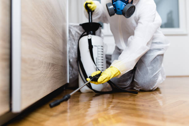 Best Best Pest Control Companies  in Forest, VA