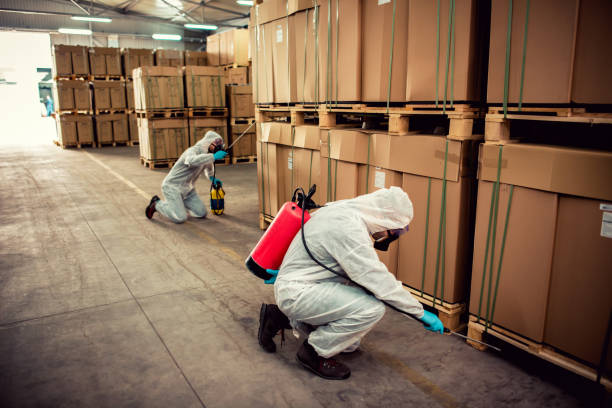 Best Mosquito Control Services  in Forest, VA