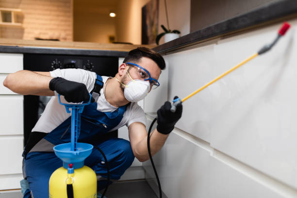 Best Pest Removal Services  in Forest, VA