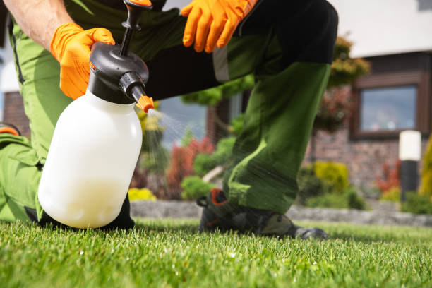Best Rat Extermination Near Me  in Forest, VA