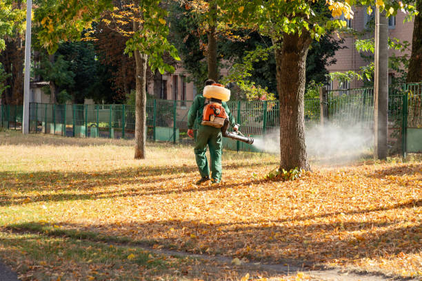 Insect Control in Forest, VA