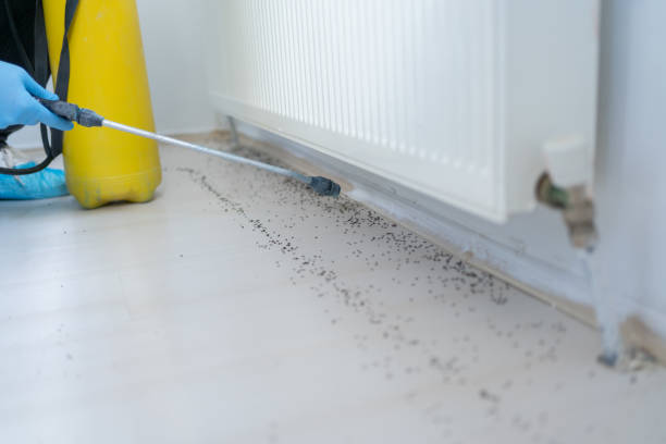 Reliable Forest, VA Pest Control Solutions